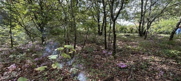 Land in Roquefort, France No. 276634 3