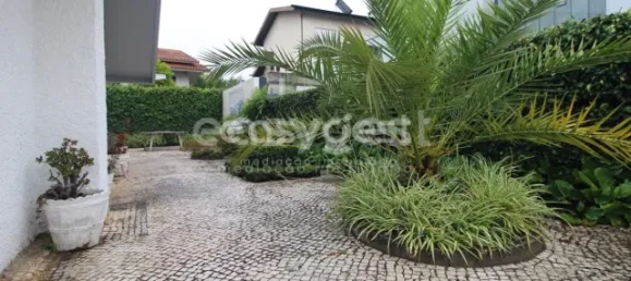 5 chambres Maison à Coimbra, Portugal No. 186647 10