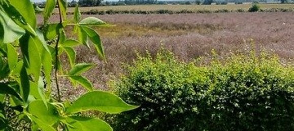 2 bedrooms House in Ardentes, France No. 75400 9