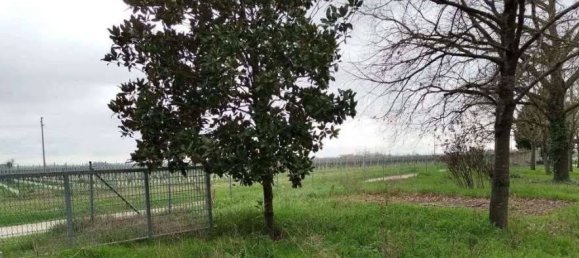 3 bedrooms Apartment in Alfonsine, Italy No. 375410 3