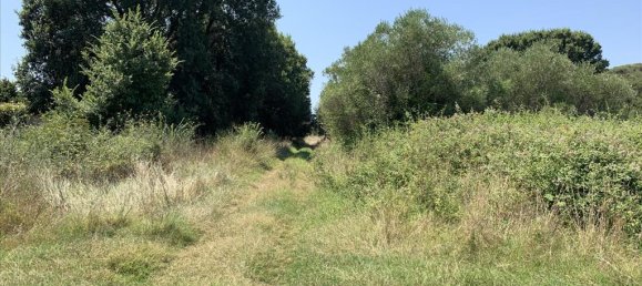 Terrain à Chalkidiki, Greece 6312m² No. 95130 2