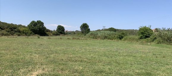 Terrain à Chalkidiki, Greece 6312m² No. 95130 3