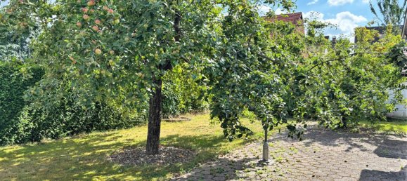 5-salle Maison à Aschaffenburg, Germany No. 229328 4