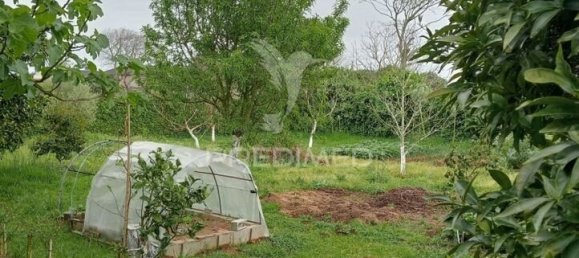 4 Schlafzimmer Haus in Aradas, Portugal, Nr. 208979 14