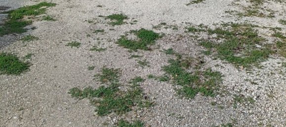 8 rooms House in Cotignola, Italy No. 286687 14