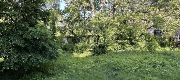 Apartamento T1 em Mitte, Germany N.º 227507 5