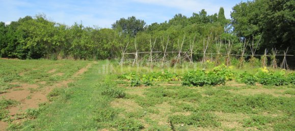 3 rooms Villa in Nepi, Italy No. 331983 11