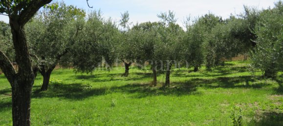 3 rooms Villa in Nepi, Italy No. 331983 15