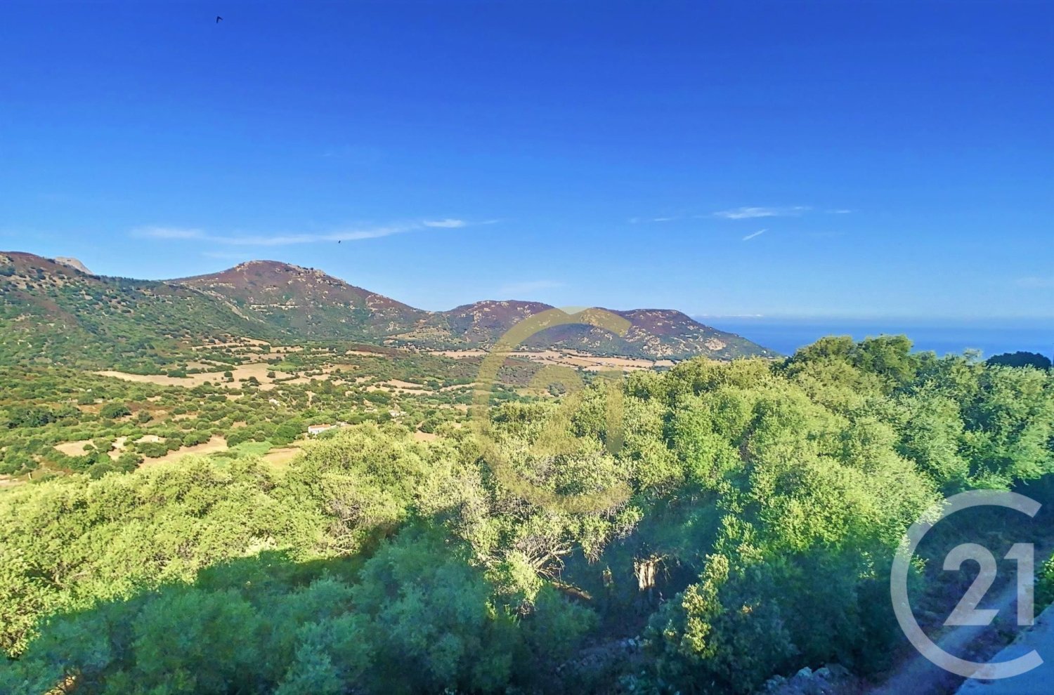 3 bedrooms House in Aregno, France No. 86224