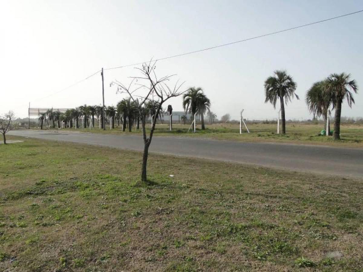  Land in Presidente Peron, Argentina No. 50526