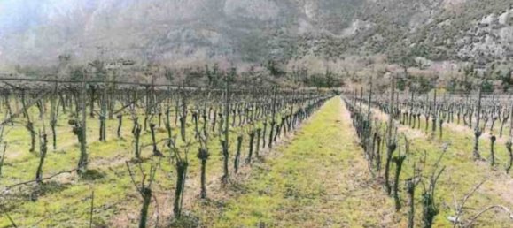 Terrain à Dolcè, Italy 22231m² No. 306827 2