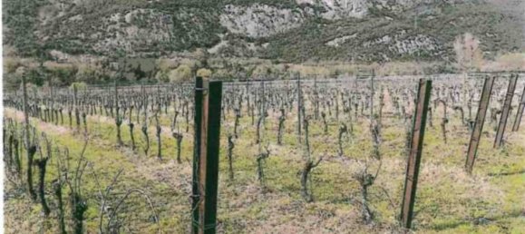 Terrain à Dolcè, Italy 22231m² No. 306827 3