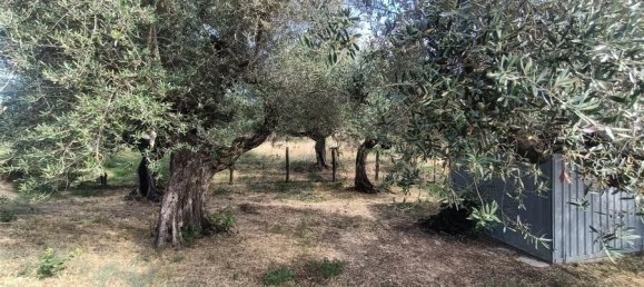 1 Schlafzimmer Haus in Loreto Aprutino, Italy, Nr. 331202 3