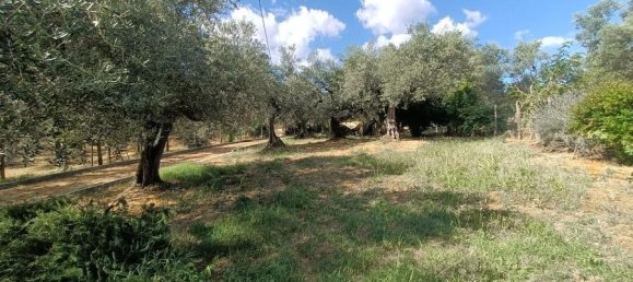 1 Schlafzimmer Haus in Loreto Aprutino, Italy, Nr. 331202 29