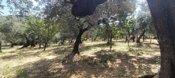 1 Schlafzimmer Haus in Loreto Aprutino, Italy, Nr. 331202 31