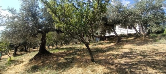 1 Schlafzimmer Haus in Loreto Aprutino, Italy, Nr. 331202 32