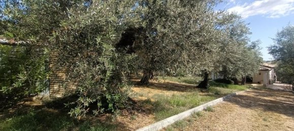 1 Schlafzimmer Haus in Loreto Aprutino, Italy, Nr. 331202 4