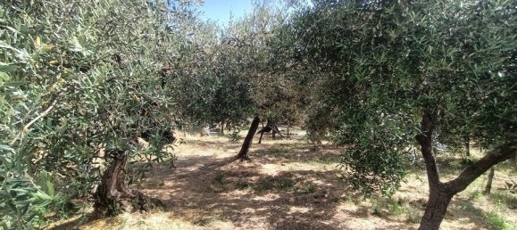 1 Schlafzimmer Haus in Loreto Aprutino, Italy, Nr. 331202 30