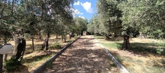 1 Schlafzimmer Haus in Loreto Aprutino, Italy, Nr. 331202 5