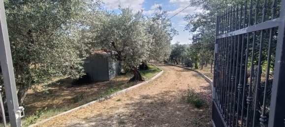 1 Schlafzimmer Haus in Loreto Aprutino, Italy, Nr. 331202 2