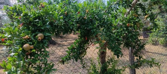 1 Schlafzimmer Haus in Loreto Aprutino, Italy, Nr. 331202 27