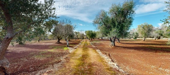 Estudio en Ceglie Messapica, Italy No. 140745 9