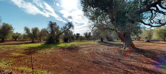 Estudio en Ceglie Messapica, Italy No. 140745 8