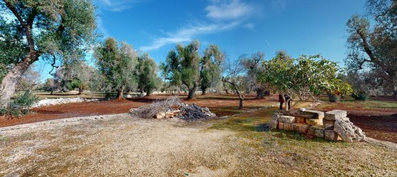 Estudio en Ceglie Messapica, Italy No. 140745 5