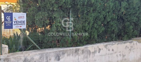 3-Zimmer Haus in Modica, Italy, Nr. 101892 24