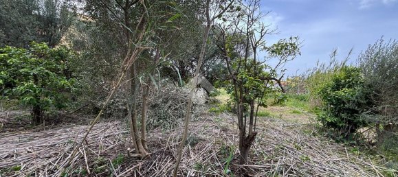 قطعة أرض في Bagheria, Italy 2593متر مربع رقم 14858 34