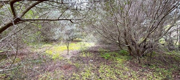 قطعة أرض في Bagheria, Italy 2593متر مربع رقم 14858 4