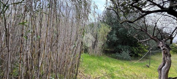 قطعة أرض في Bagheria, Italy 2593متر مربع رقم 14858 9