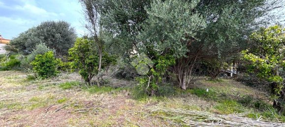 قطعة أرض في Bagheria, Italy 2593متر مربع رقم 14858 26