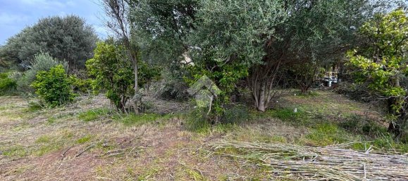 قطعة أرض في Bagheria, Italy 2593متر مربع رقم 14858 24