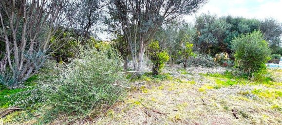 قطعة أرض في Bagheria, Italy 2593متر مربع رقم 14858 32