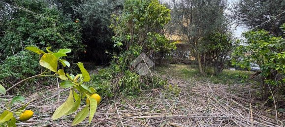 قطعة أرض في Bagheria, Italy 2593متر مربع رقم 14858 31