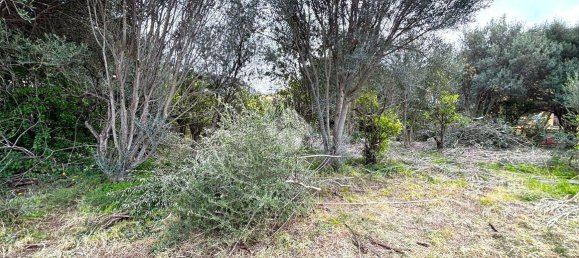 قطعة أرض في Bagheria, Italy 2593متر مربع رقم 14858 21