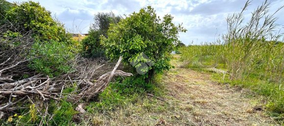 قطعة أرض في Bagheria, Italy 2593متر مربع رقم 14858 23