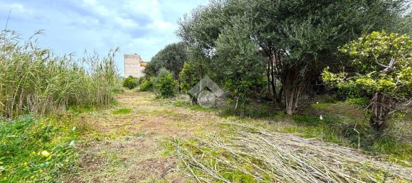 قطعة أرض في Bagheria, Italy 2593متر مربع رقم 14858 16