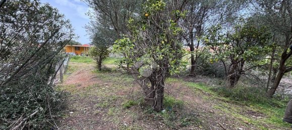 قطعة أرض في Bagheria, Italy 2593متر مربع رقم 14858 36