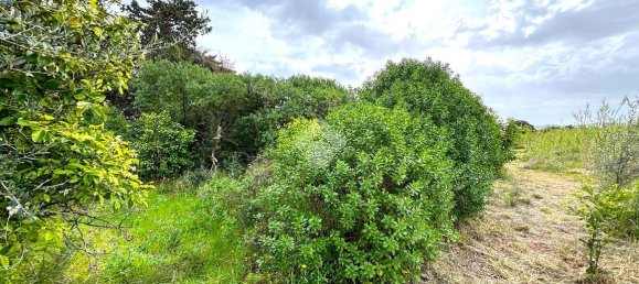 قطعة أرض في Bagheria, Italy 2593متر مربع رقم 14858 18