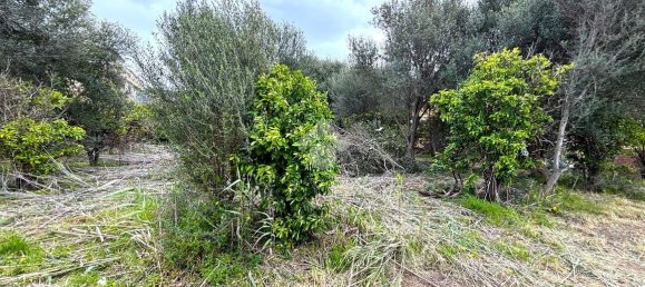 قطعة أرض في Bagheria, Italy 2593متر مربع رقم 14858 20