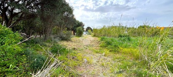 قطعة أرض في Bagheria, Italy 2593متر مربع رقم 14858 19