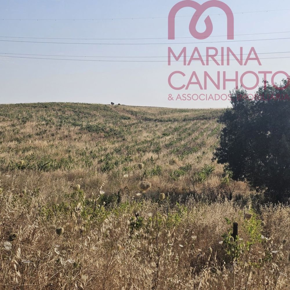 Grundstück in Borba, Portugal, Nr. 196148