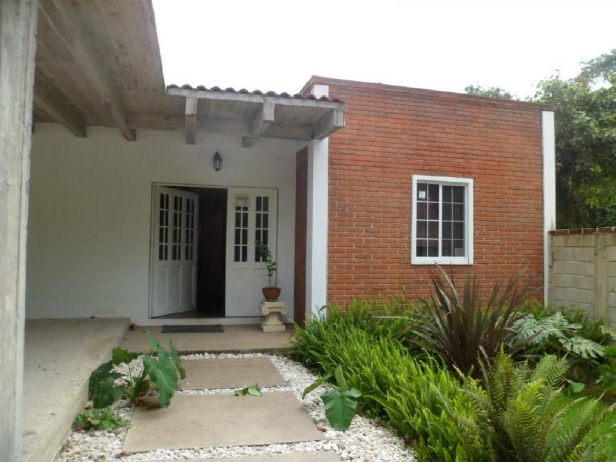 Studio in Veracruz, Mexico, Nr. 212812