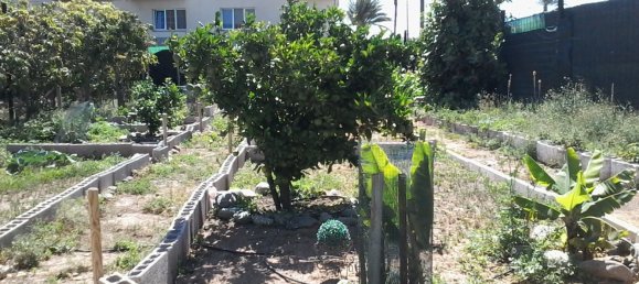 840m² Land in Aguimes, Spain No. 158350 30