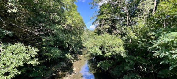 120m² Commercial property in Baden, Austria No. 222637 3