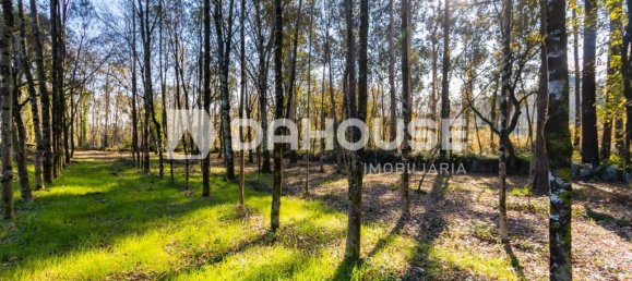  قطعة أرض في Vila Verde, Portugal 4819متر مربع رقم 61033 4