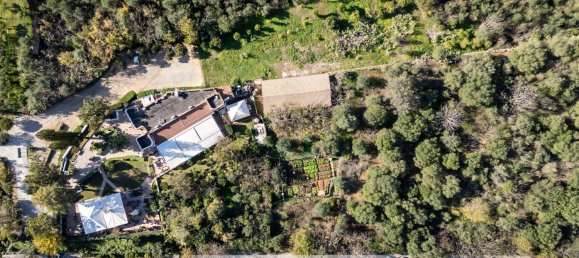 575m² Commercial property in Palermo, Italy No. 156280 29