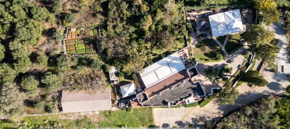 575m² Commercial property in Palermo, Italy No. 156280 49